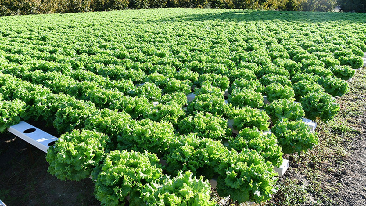 Bileziklerini bozdurdu, kurduğu serayla 40 kadına iş kapısı açtı