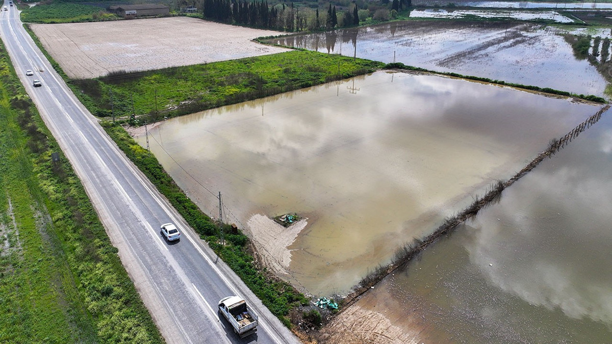 İzmir'de sağanak: Tarım arazileri sular altında kaldı
