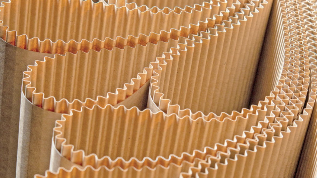 Döngüsel ekonominin oluklu hattı: 2,5 milyon tonluk yeşil reform