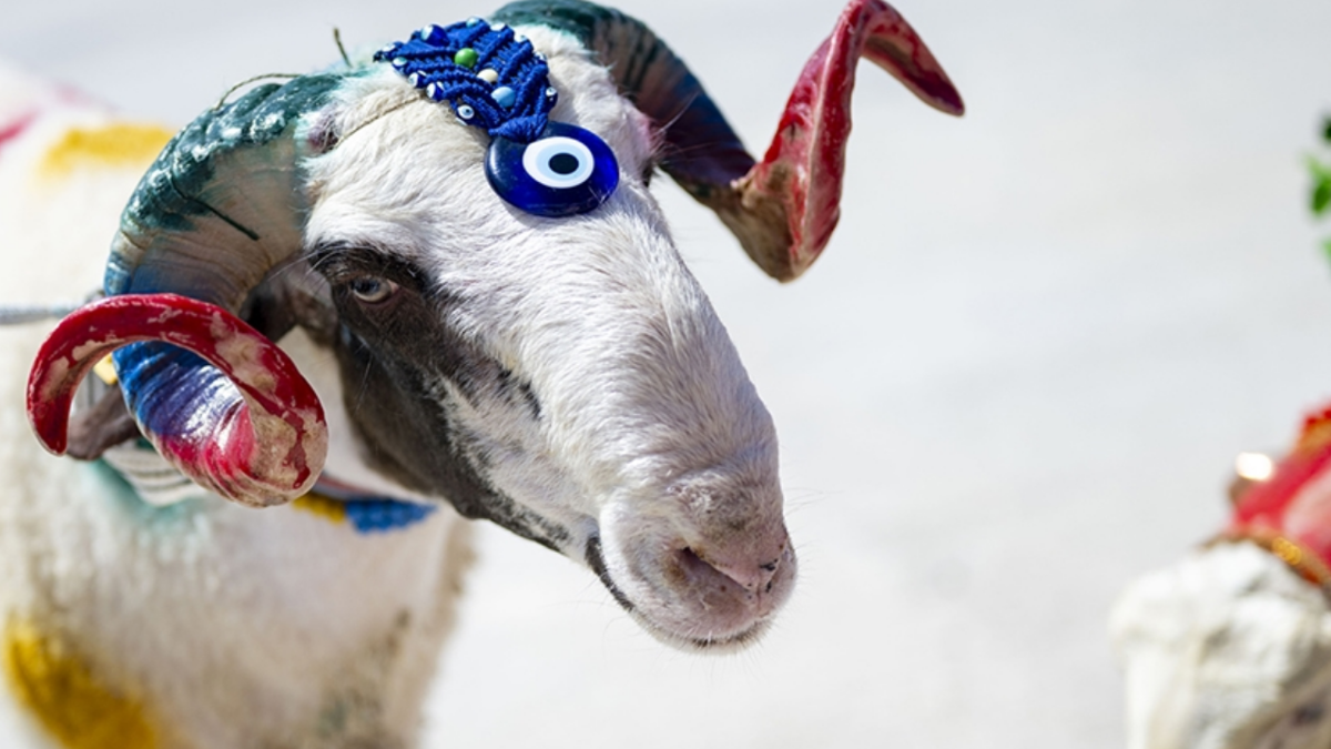 Kurban Bayramı ne zaman, hangi tarihte kutlanacak?