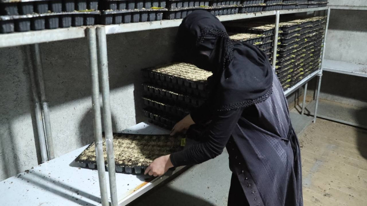 Arkadaş tavsiyesiyle üretime başladı, bölgenin en önemli tedarikçisi oldu: Pazar sıkıntısı yok