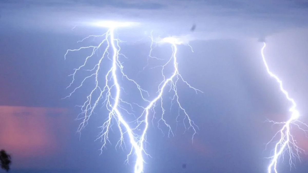 Ağaca yıldırım isabet etti: 2 çocuk öldü