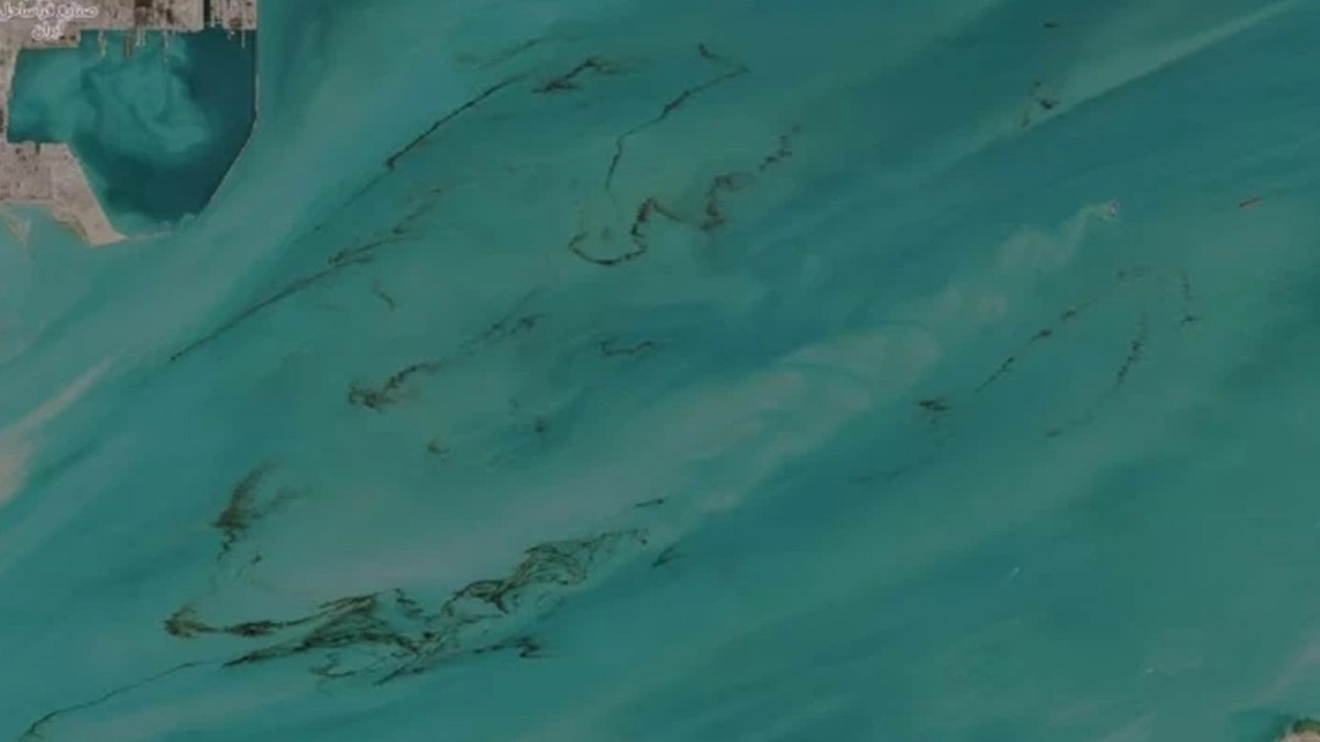 Körfez'de çevre felaketi! Milyonlarca canlı tehlike altında