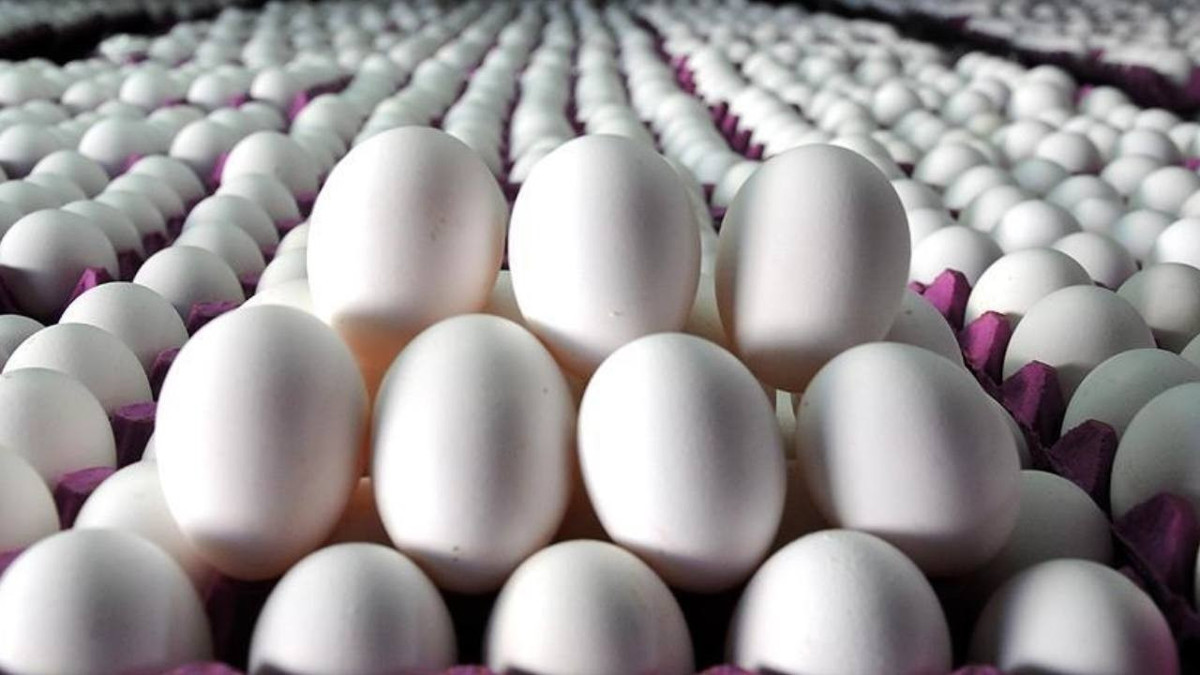 İhracat kotası 5 kat arttı: Yumurtada fiyat artacak korkusu başladı