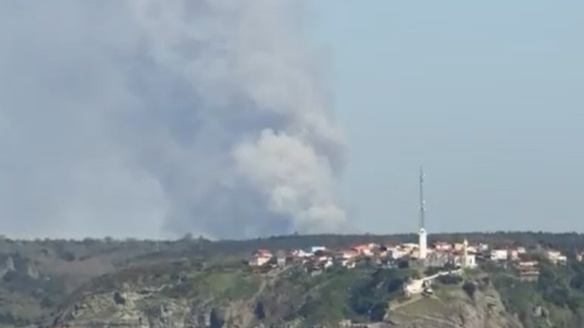 Beykoz'da orman yangını! Havadan ve karadan müdahale ediliyor