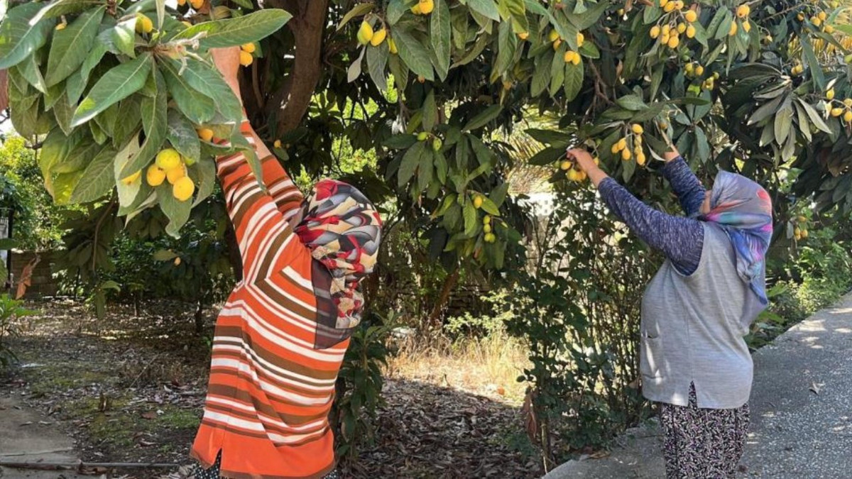 Dalında kalmasın diye ücretsiz dağıttı: Vatandaşlar bahçeye akın etti