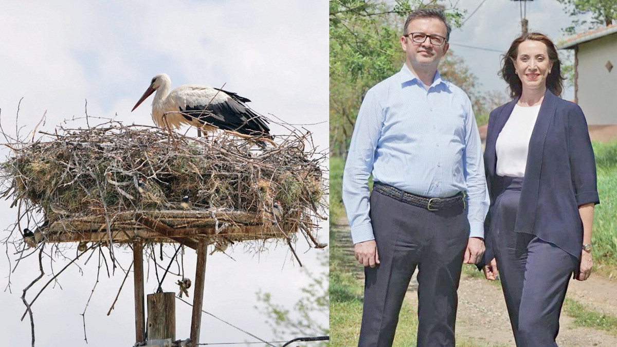 IC Holding’in COP31 sürecinde ilk ‘Etki Serisi’ biyoçeşitlilik oldu