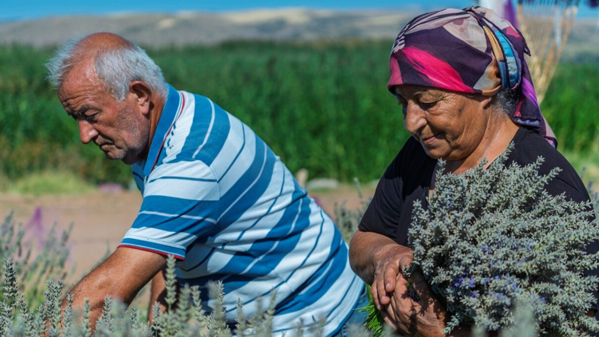 Binlerce kiÅi geldi, tek alıcı çıkmadı: 7 yıllık emek çöpe gidecek
