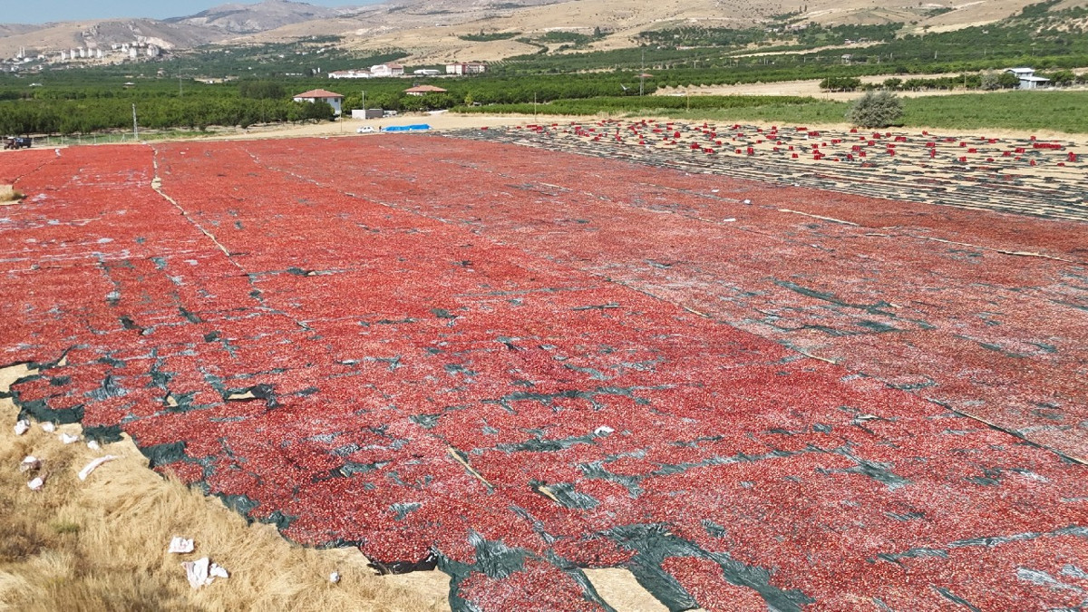 1350 TL'ye günde 11 saat çalıÅıyolar
