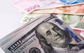 Merkez Bankası açıkladı: TL'nin reel değeri kasımda sınırlı geriledi