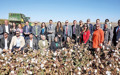 GAP Bölgesi’nde ‘Better Cotton’ üretim alanları genişliyor
