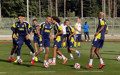 Fenerbahçe hazırlık maçı ne zaman? Admira Wacker - Fenerbahçe maçı ne zaman, saat kaçta, hangi kanalda?