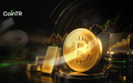 Bitcoin fiyat hareketleri ve dijital altın