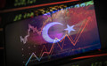 Yeni OVP kamunun üç yıllık yol haritası olacak