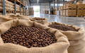 Kahvede hava tersine döndü: Arabica 10 haftanın dibini gördü