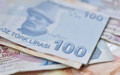 Ekonomistlerin cari denge tahmini belli oldu: Ağustosta fazla bekleniyor