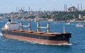 Türkiye'nin de yer aldığı tahıl planına Rusya engeli