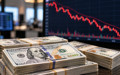 Merkez Bankası rezervlerinde düşüş: Bir haftada 6,8 milyar dolar eksildi
