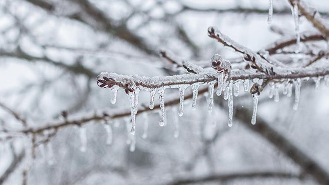Meteoroloji uyardı! Doğu Karadeniz için zirai don alarmı