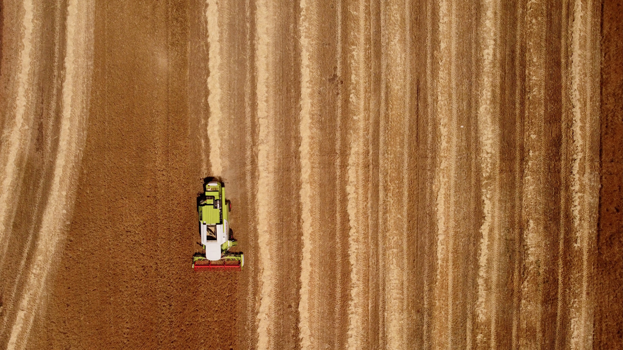 Arpa ve mısır ithalatında tarife kontenjanları artırıldı