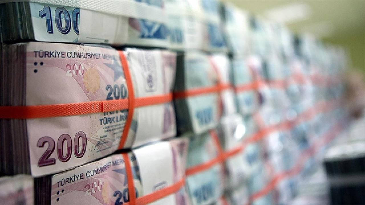 Bütçede ‘aslan’ın payı daha da büyüdü