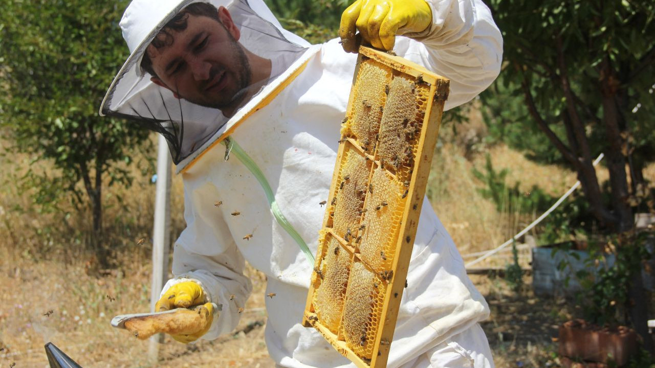 10 ayda 1.8 milyon dolarlık bal ihracatı