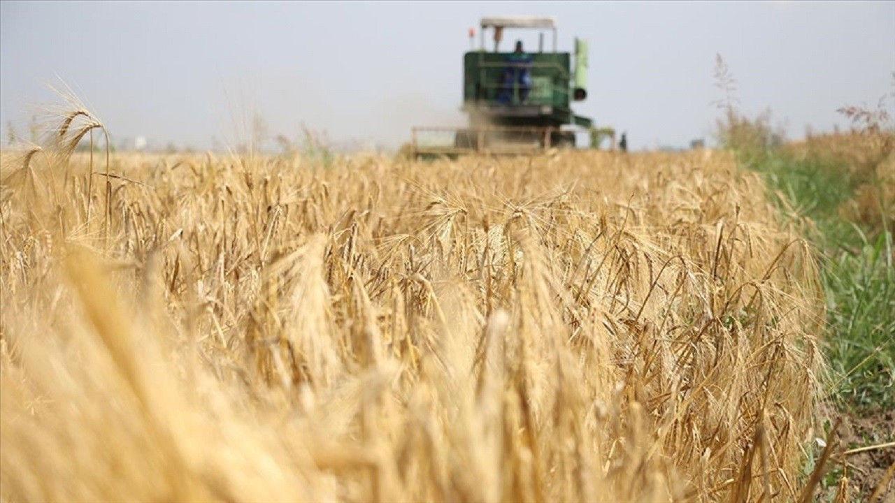 Tarımsal girdide yıllık ve aylık bazda artış