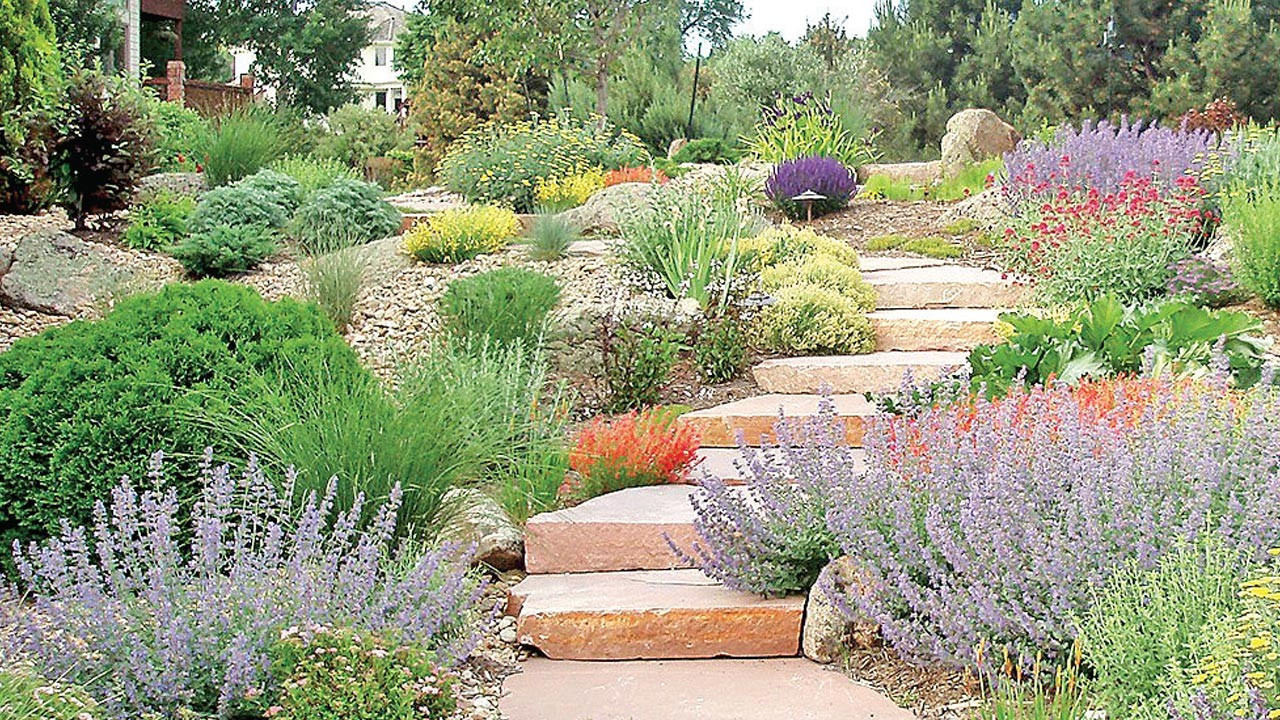 Kuraklık peyzaj anlayışını değiştiriyor