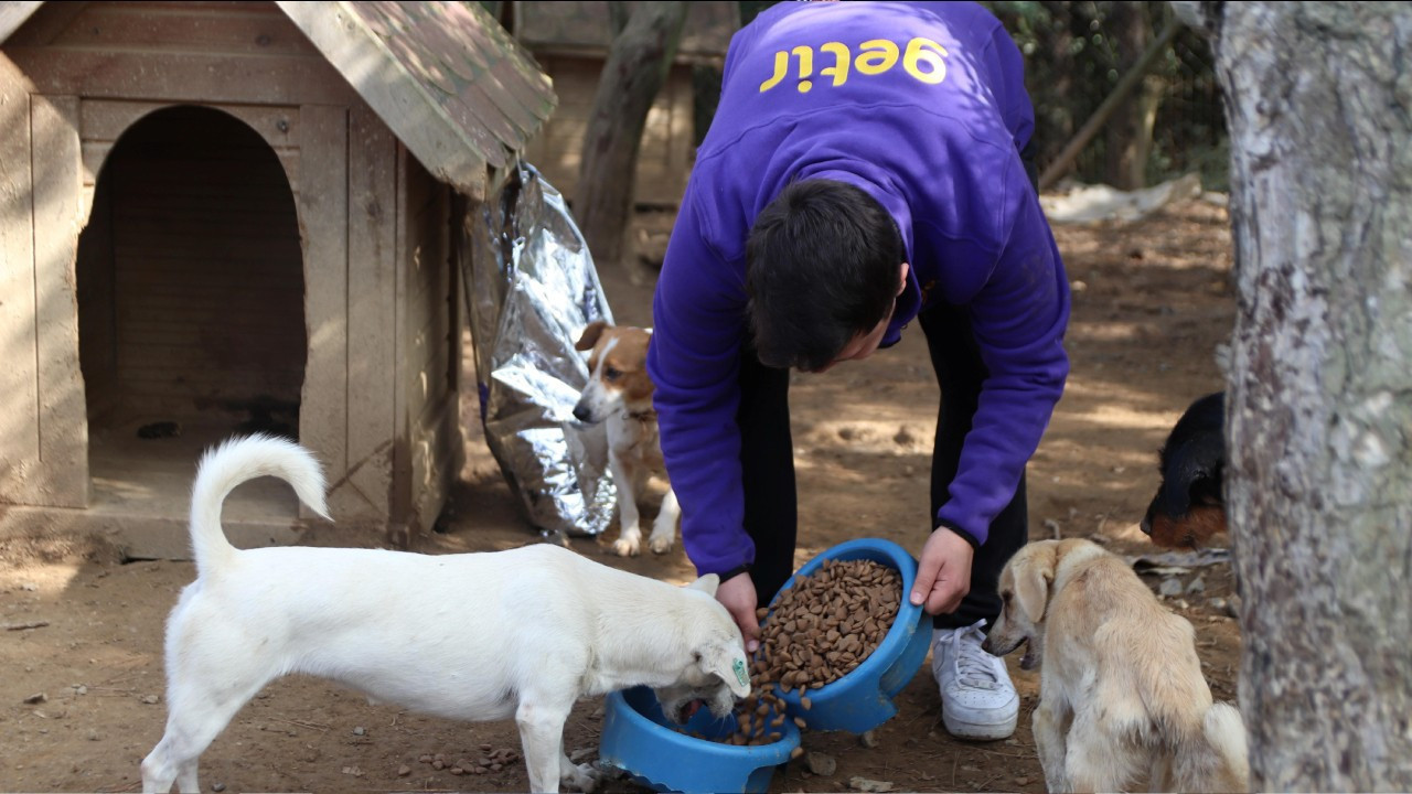 Getir'den 1 milyon kap mama desteği
