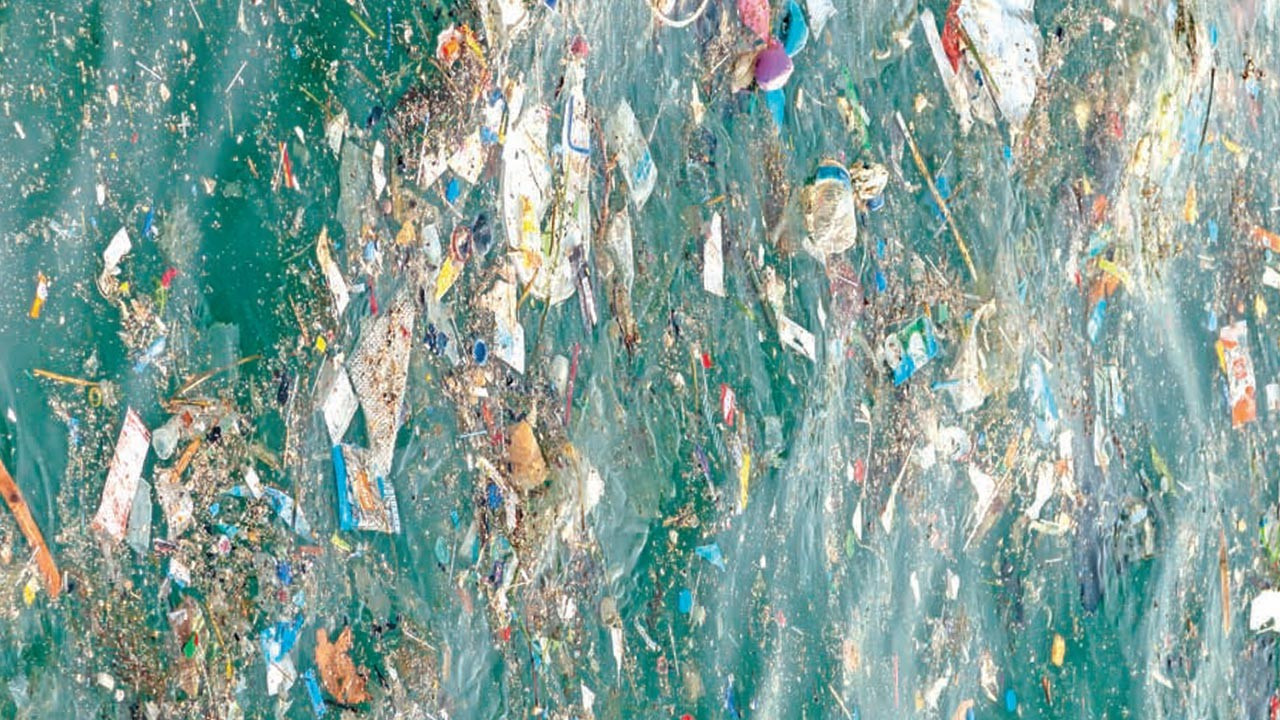 2050’de denizler alarm verecek: İnsan baskısı iki buçuk kat artacak