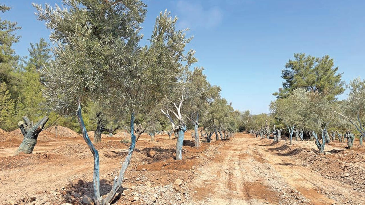 Bilimle taşınan kadim miras