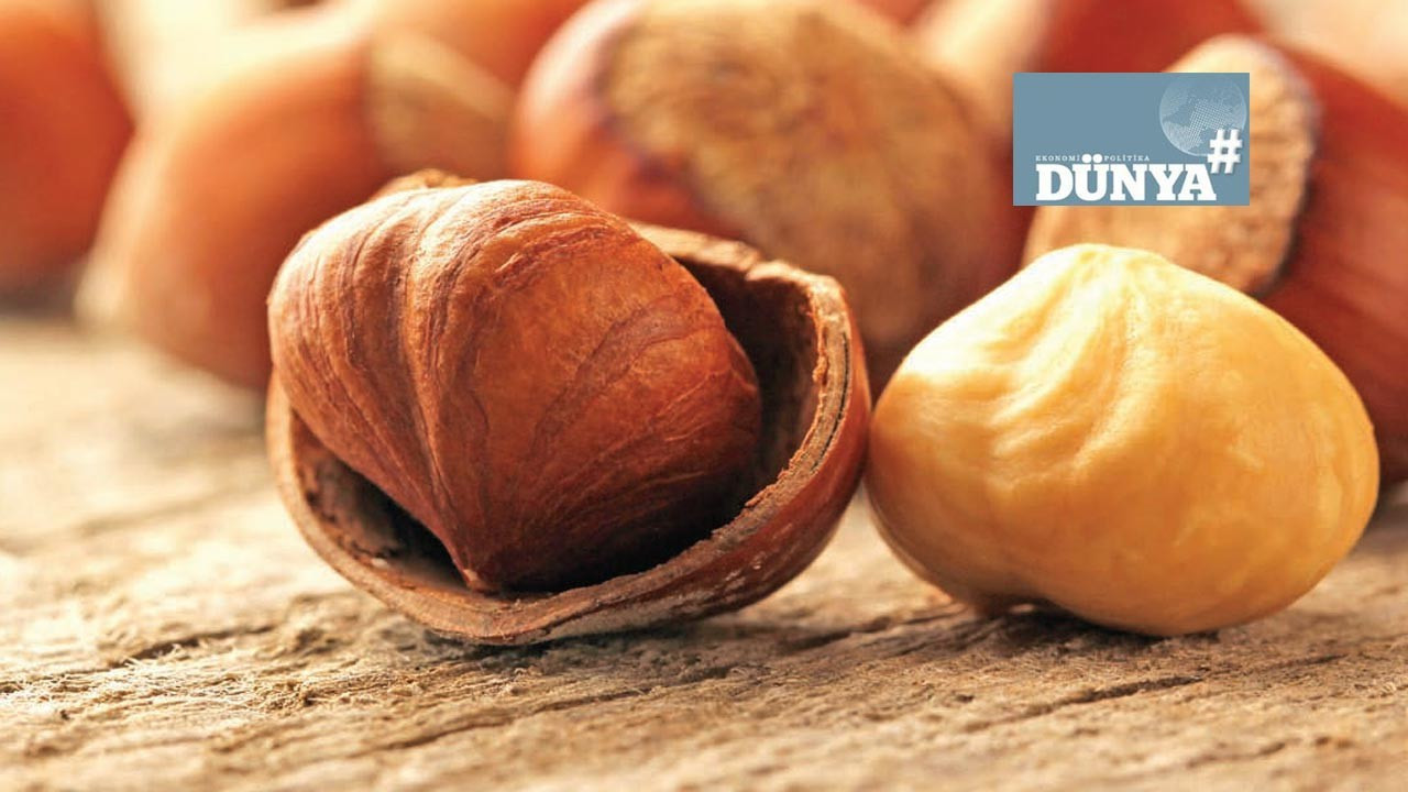 Fındık sektöründe ne oluyor?