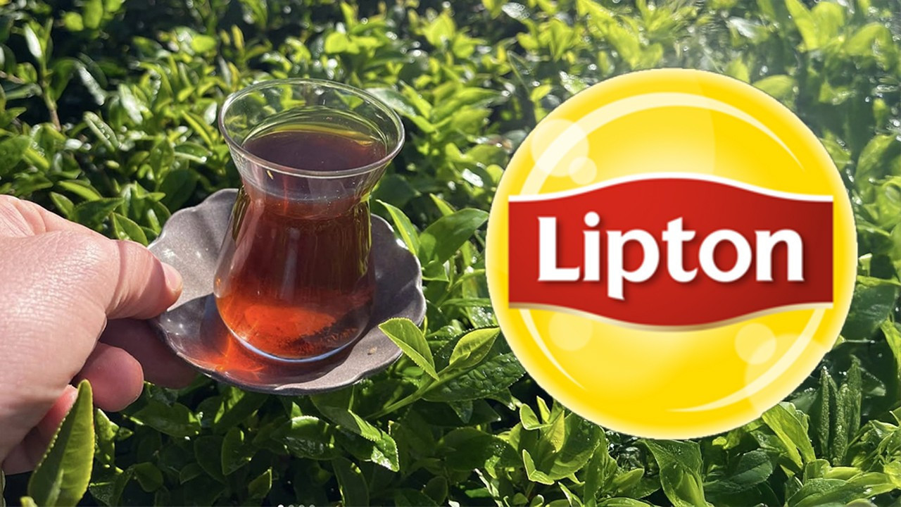 İngiliz çay devi Lipton'dan tarihi karar: 39 yıl sonra Türkiye üretimini sonlandırdı