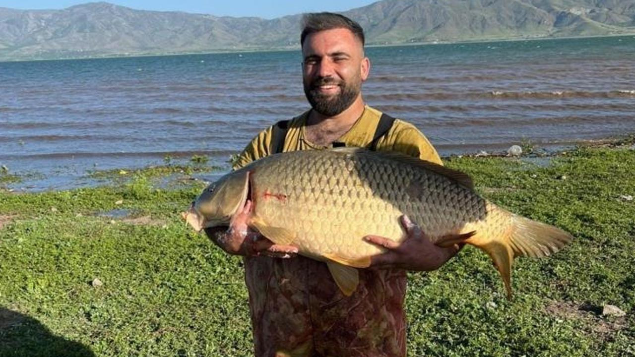 Dev balık! Elazığ'da 32 kiloluk balık! Elazığ'da dev sazan balığı! Sazan balığının kilosu ne kadar? Sazan balığı nasıl tutulur? Sazan balığı lezzetli mi?