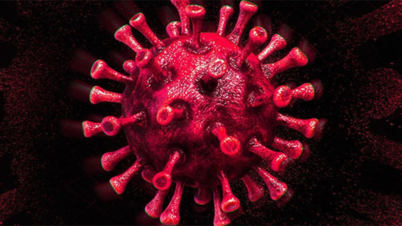 Kıbrıs’tan dünya bilim literatürüne: Yeni virüs türü 'Alasiavirus' keşfedildi