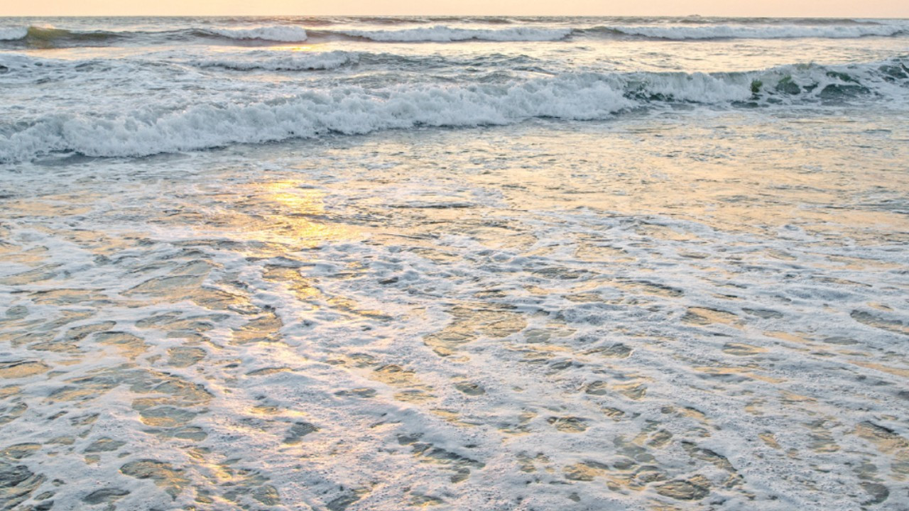 Okyanusların karbon taşıma bandı tıkandı