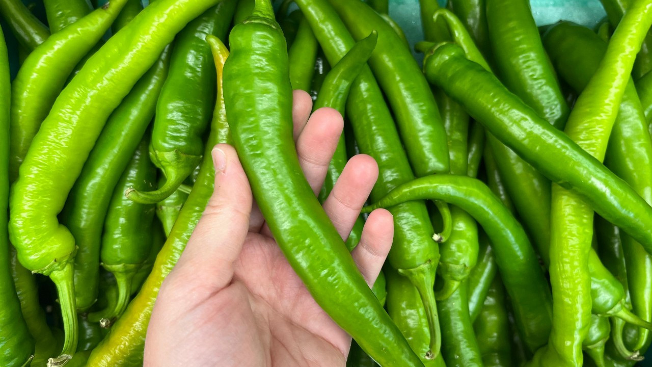 Türkiye’nin biber ihracatında lider Batı Akdeniz