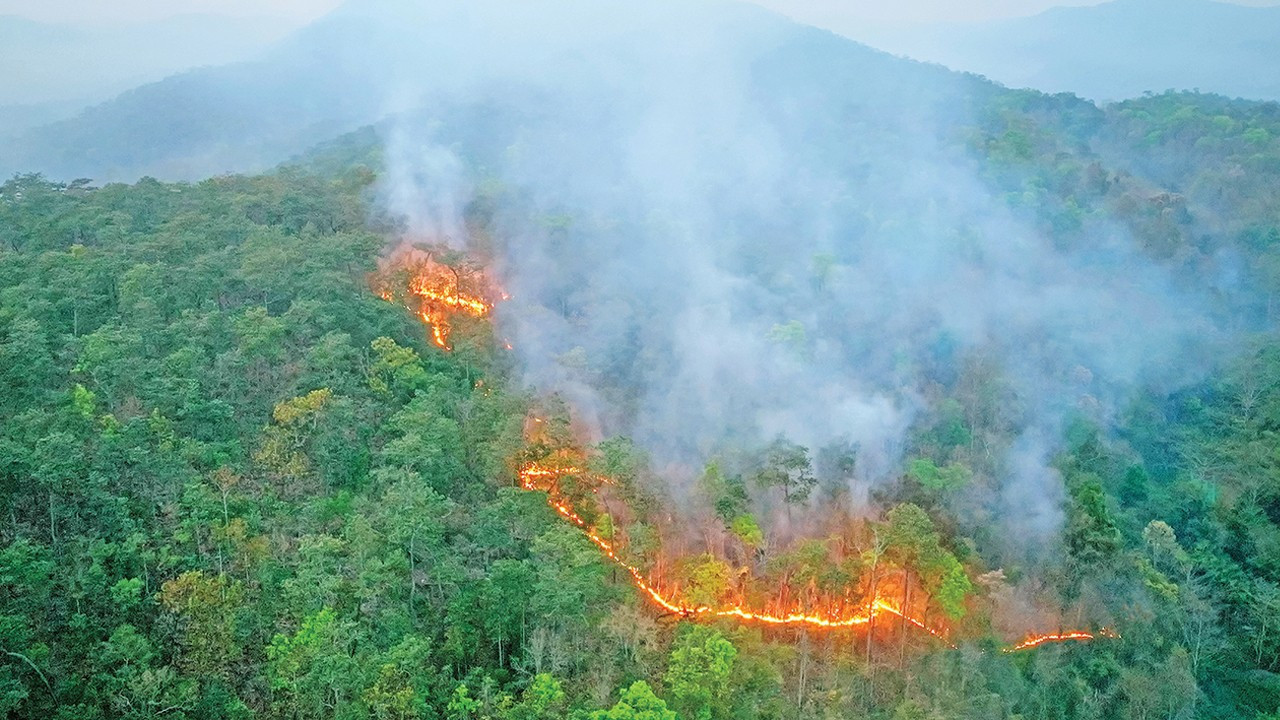 Amazon’dan Almanya kadar karbon salımı: Karbonun yeni kaynağı yangınlar