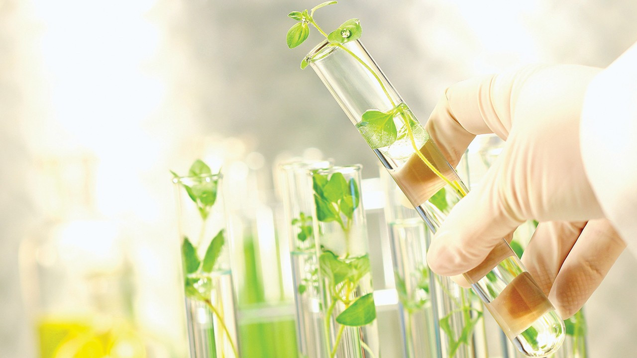 Sürdürülebilirlik reçetesi: 130 yıllık deneyimle karbon hedefi