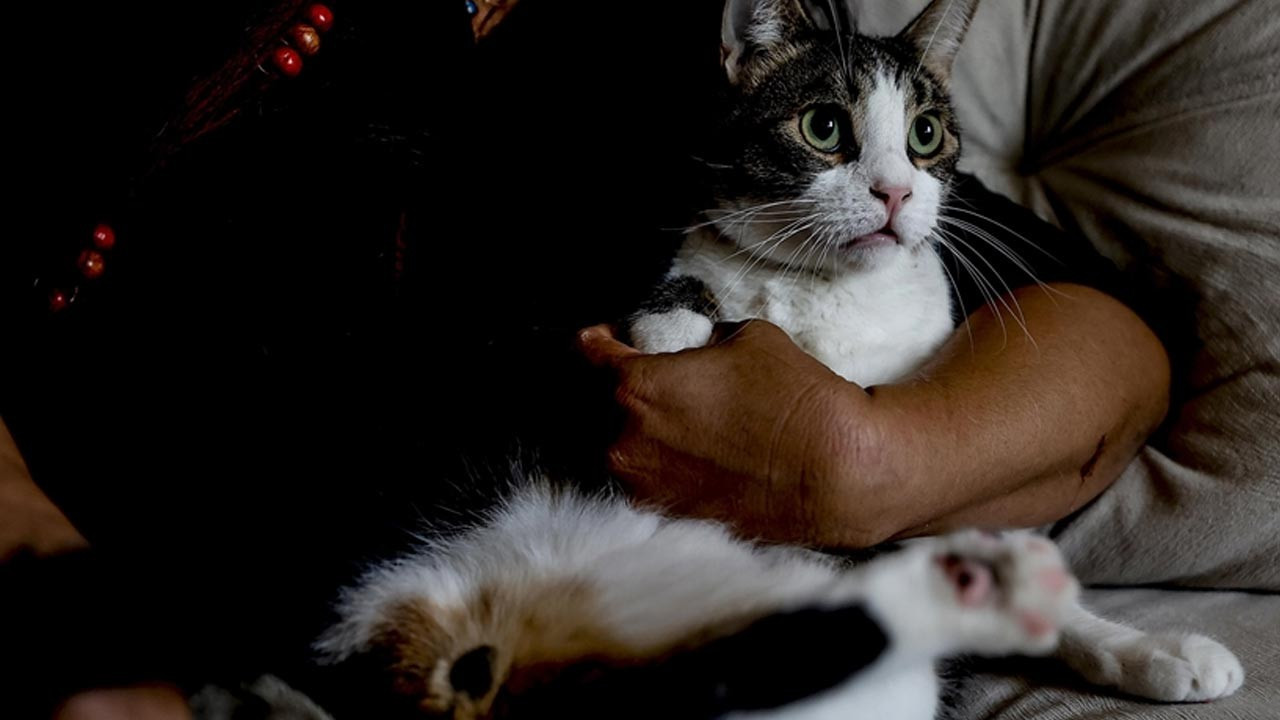 Isparta'da 'büyü' iddiası! Validen açıklama geldi