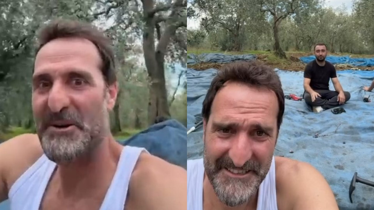 'Köfte Necmi’ ilk zeytin hasadını yaptı