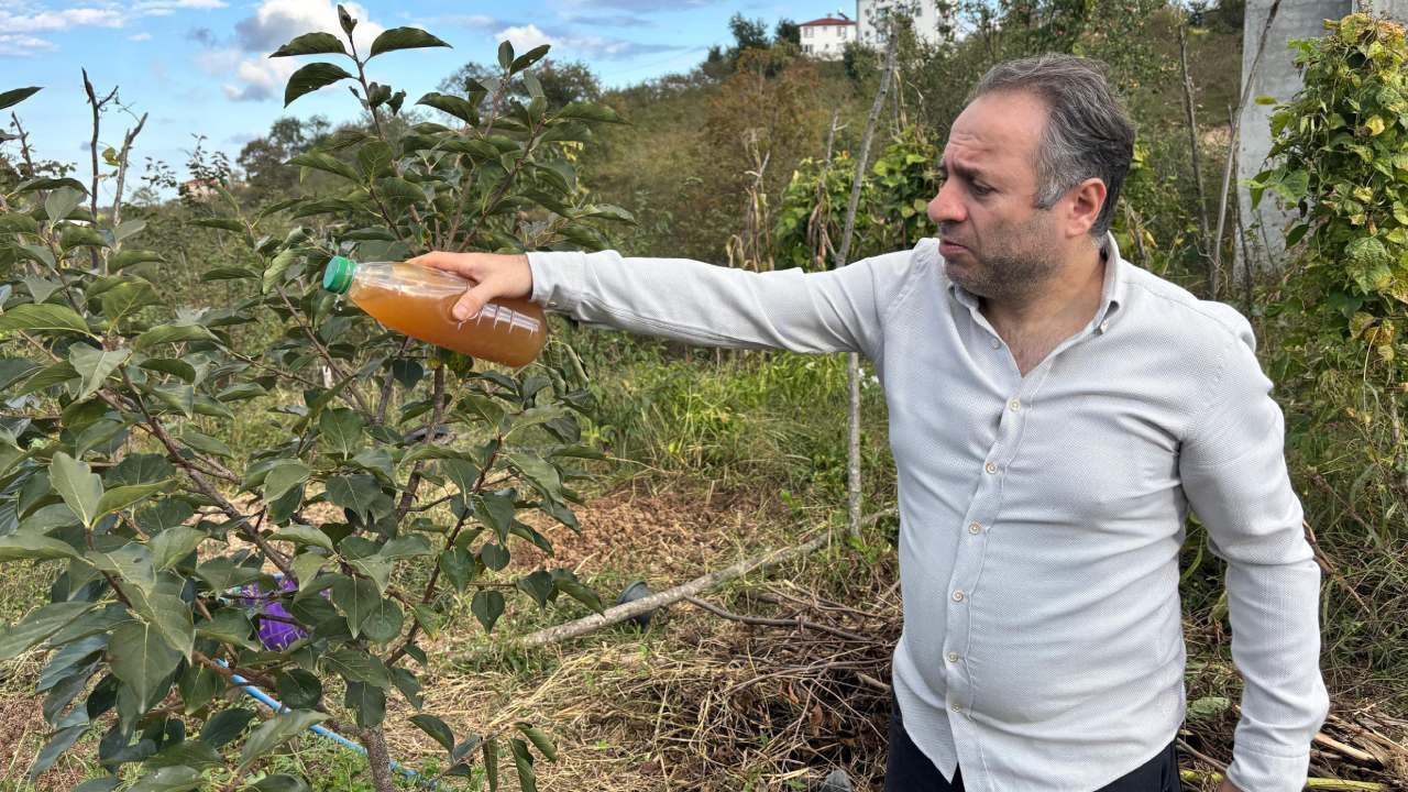 Kendi mahsulünü kurtarmak için denedi, kahverengi kokarcaya doğal çözüm buldu