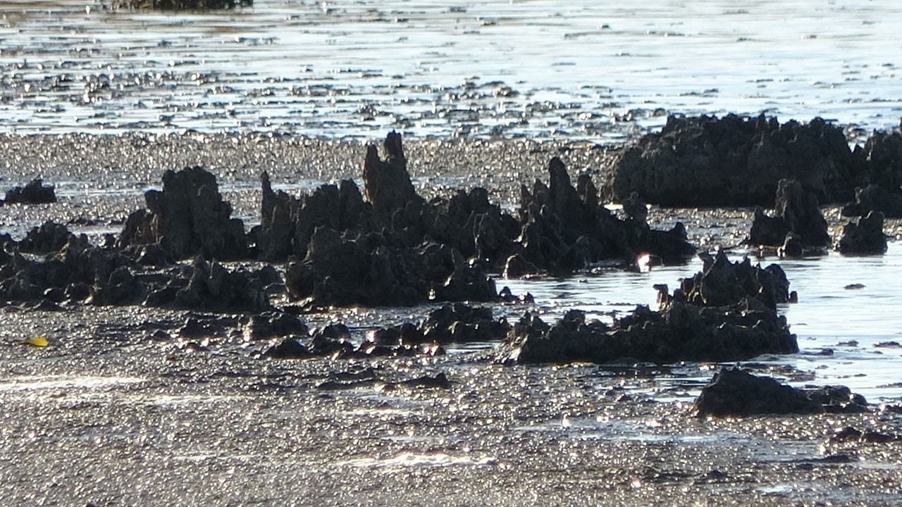 Kuraklık Van’daki Erçek Gölü’nü vurdu: Su çekilmesi mikrobiyalitleri ortaya çıkardı