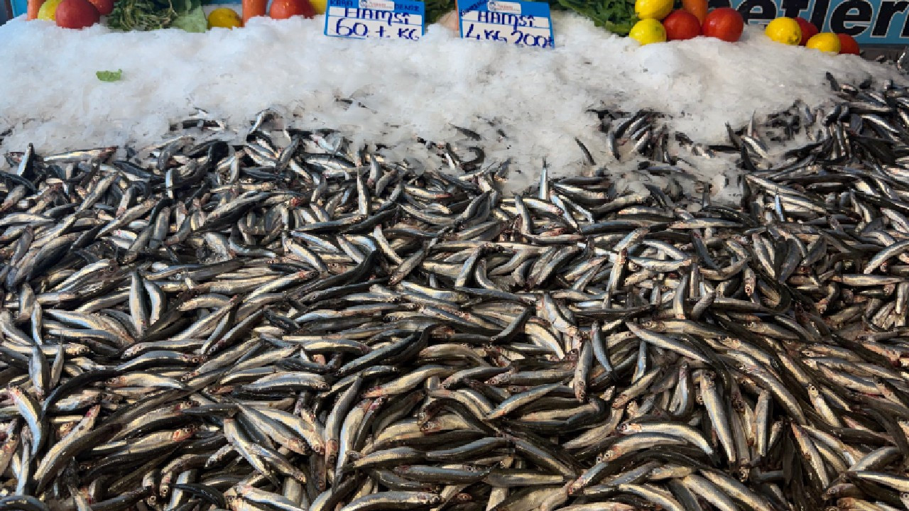 Buzdolabını doldurmanın tam zamanı! Kilosu 60 liraya düştü!