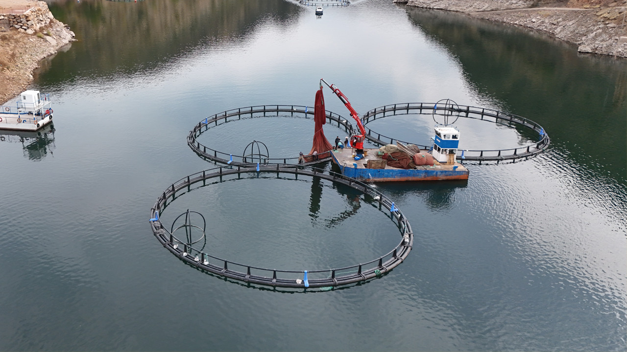 Diyarbakır'da kuruldu, dünyaya satılacak! Mezopotamya Somunu'na yoğun talep