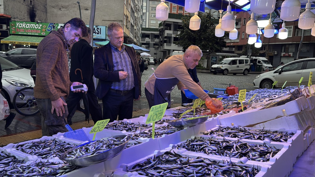 Rize'de hamsi bolluğu: Tezgahlarda 50 liraya satışta