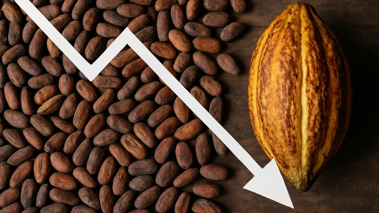 Kakao fiyatları son iki yılın en düşük seviyesinde