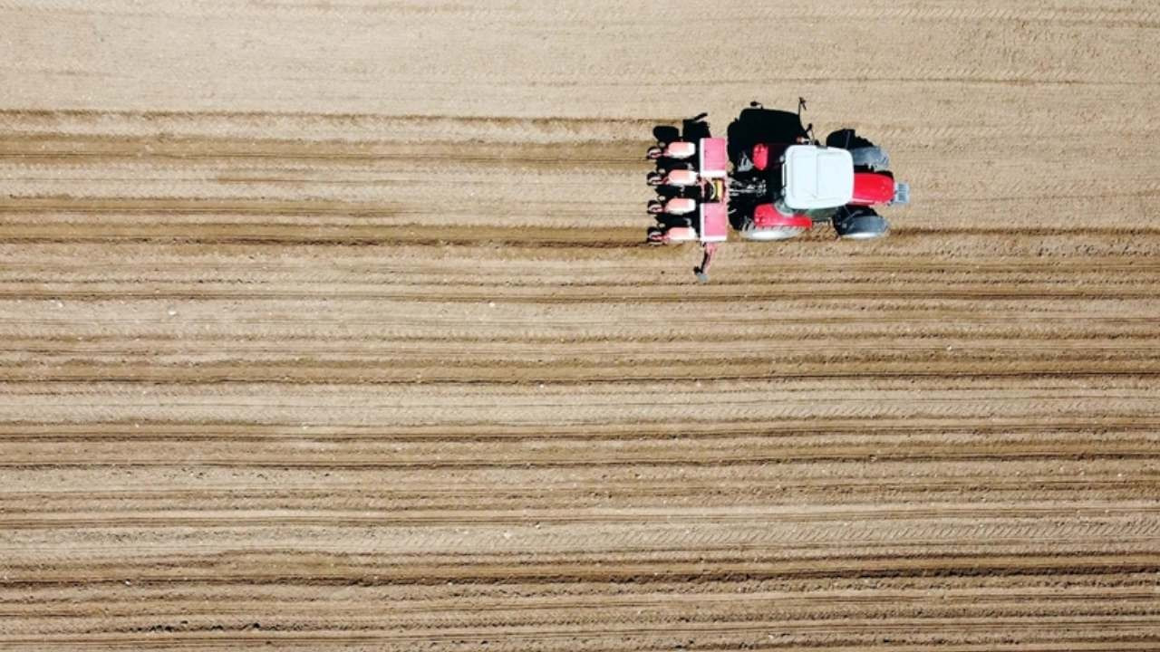 FAO'dan Türkiye'deki projelere 8,1 milyon dolarlık kaynak