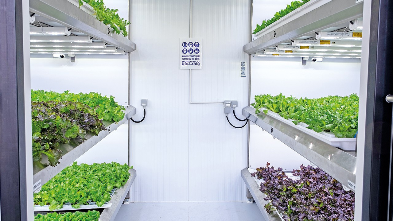 Geleceğin çiftçileri CEO’lar olacak