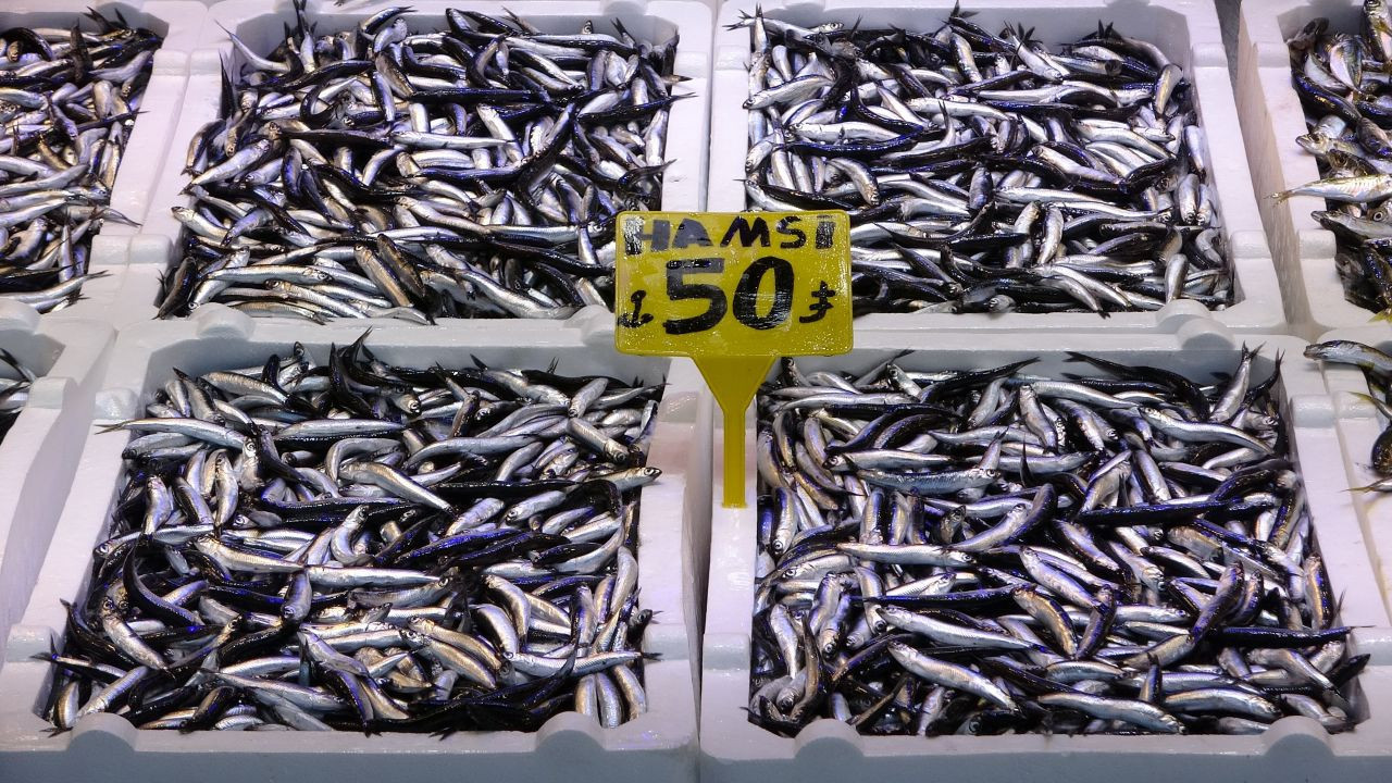 Son 35 yılın en bereketli hamsi sezonu: Fiyatı 1 aydır 50 TL
